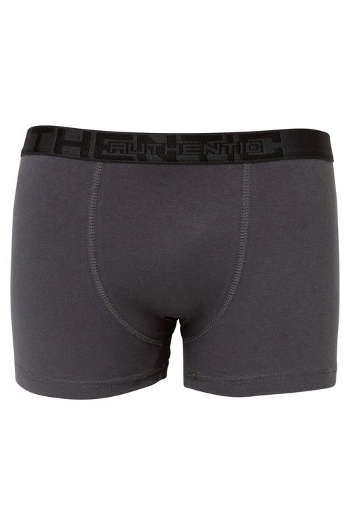 Cueca Boxer Cinza Tam P
