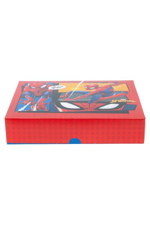 Caixa Para Presente M - Homem Aranha