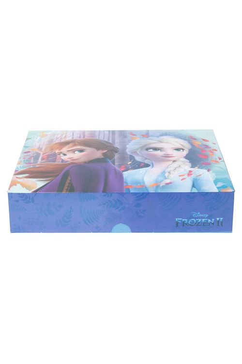 Caixa Para Presente Estampa Frozen
