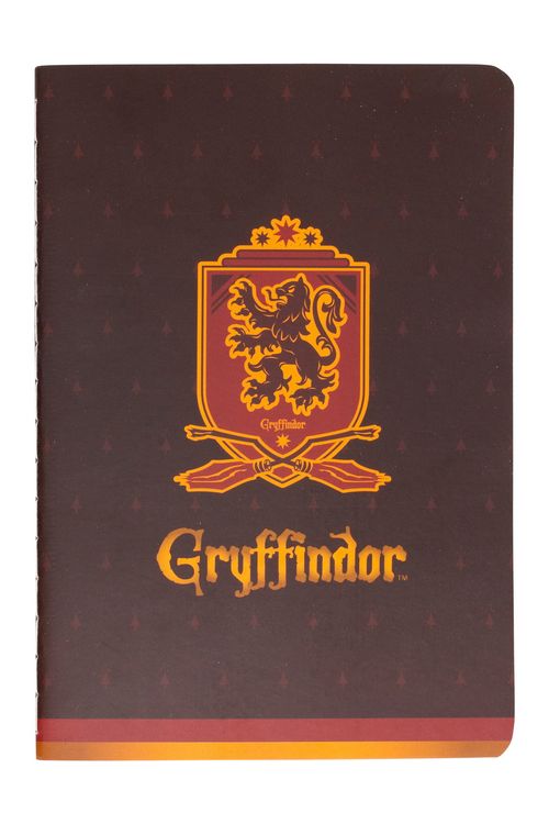 KIT 4 CADERnoS ACES BSKT AKC300 HARRY PO - COR BASKET