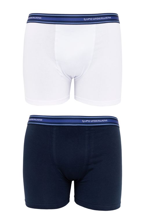 Kit 2x1 Boxer Lupo - 00523088-0960. Peça sortida, enviada conforme disponibilidade de estoque.