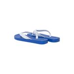 Chinelo-masc-ipanema-classica-25122-azul-azul-39-40