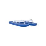 Chinelo-masc-ipanema-classica-25122-azul-azul-39-40