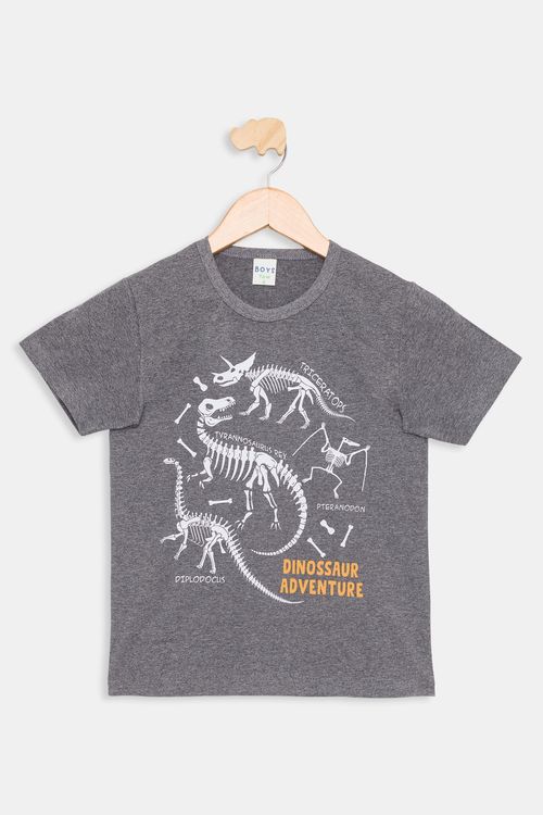 Camiseta Infantil Dinossauro Mescla Escuro Tam 4 a 8