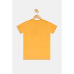 Camiseta-mc-inf10-16nos-cdjuvo120-most-amarelo-medio-16