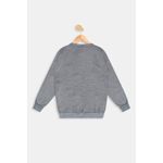 Blusao-mol-inf10-16nosc42681carsilkmsce-cinza-escuro-mescla-16