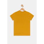 Camiseta-mc-inf10-16nos-108.875c-l.justi-amarelo-escuro-16