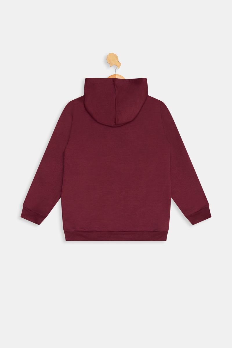 Blusao-mol-inf10-16nosc42678-cpzsilkvho-vermelho-escuro-16