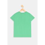 Camiseta-mc-inf10-16nosca_im1056spidervd-verde-16