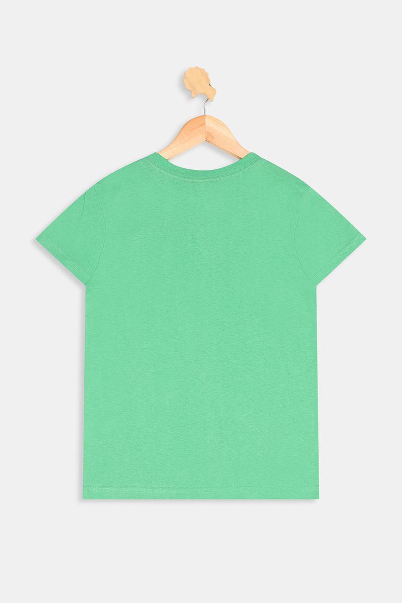 Camiseta-mc-inf10-16nosca_im1056spidervd-verde-16