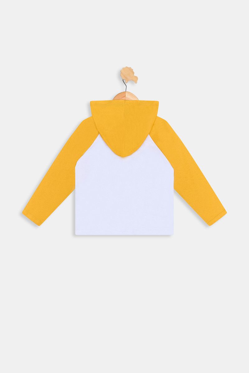 Camiseta-inf1-3nos-raglan-touca-tigrao-branco-1