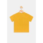 Camiseta-inf1-3nos109.074c-most-mickey-amarelo-escuro-1