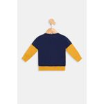 Conj-inf-bbo2492-moletom-tigrinho-amarelo-1