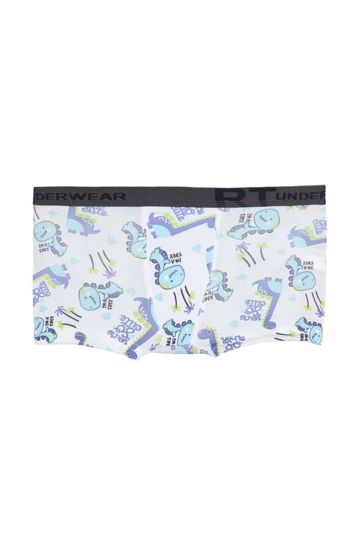 Cueca boxer micro dino - 4 ao 8 estampado