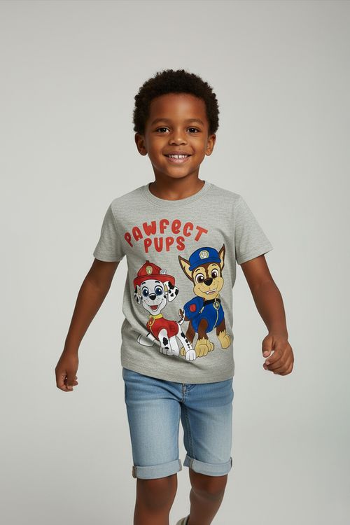 Camiseta Infantil Menino Cinza Mescla Patrulha Canina
