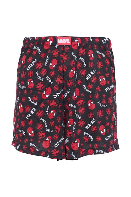 Samba-Canção Masculina Preto Homem-Aranha Web Head