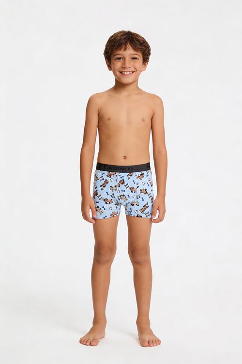 Cueca Boxer Infantil Menino Azul Estampa Doguinhos Brincalhões