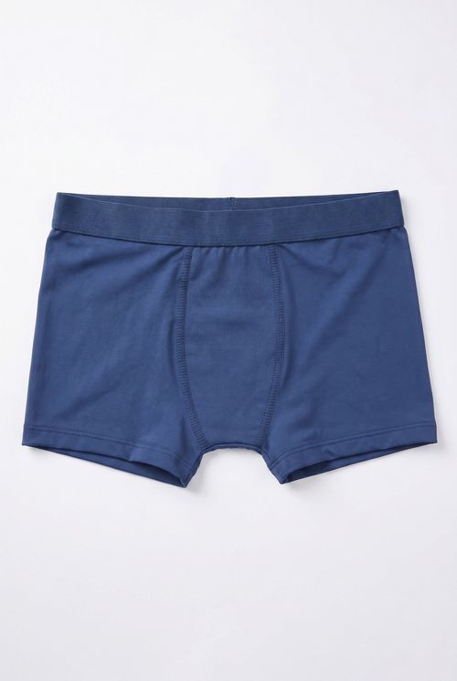 Cueca Boxer Masculino Azul Escuro
